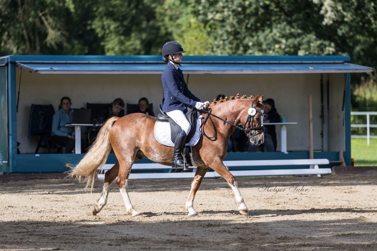 Bild 312 - Pony Akademie Turnier